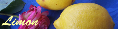 limon tarifleri