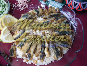 Xəmsili Plov