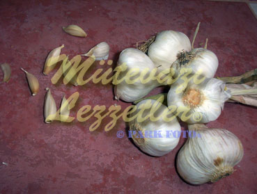Noxudlu Makaron